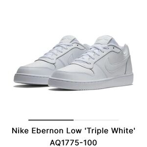 EUC Men’s Nike Ebernon Low